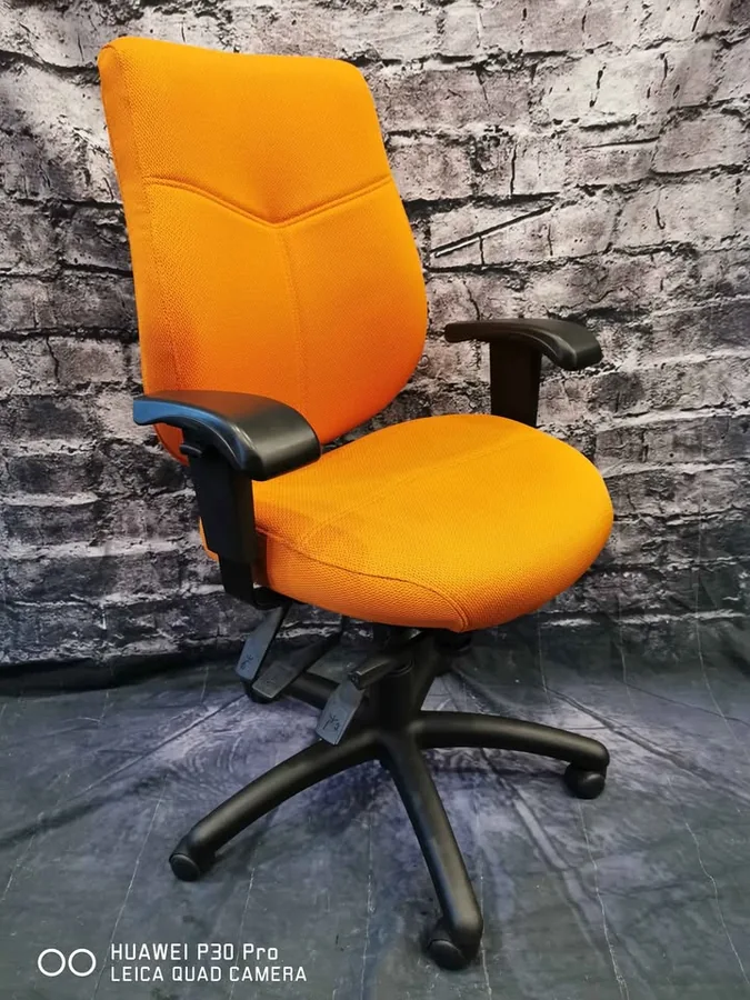 Fauteuil Ergonomique Global Aurora
